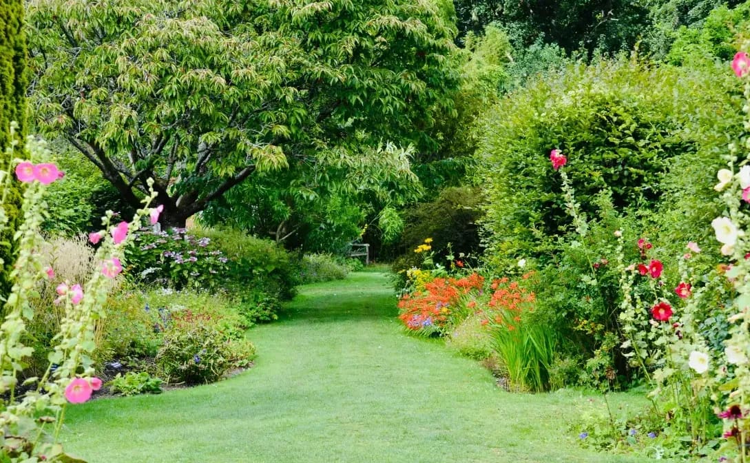 Greenhaven Garden Services 8